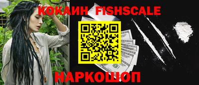 спиды Гай