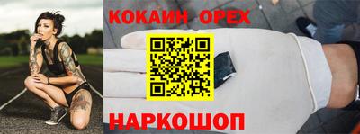 спиды Гай