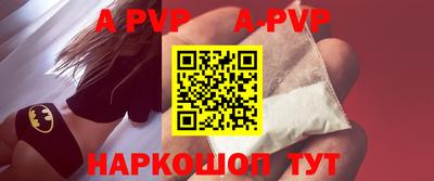 спиды Гай