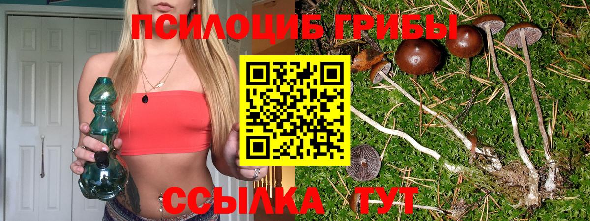 Карасук  Псилоцибиновые грибы MAGIC MUSHROOMS  Вход с VPN 
